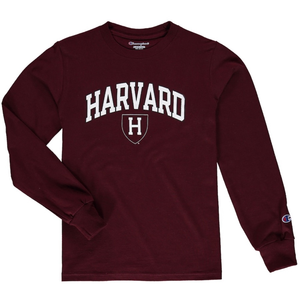 Champion long sleeve oversized shirt